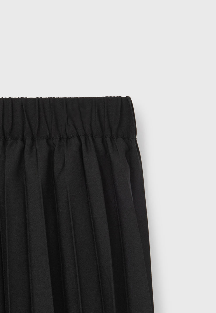 Pleated Skirt