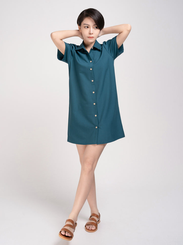 Shirt Dress