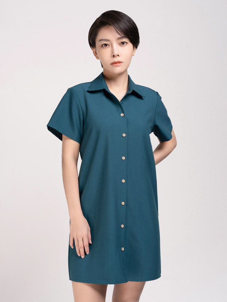 Shirt Dress